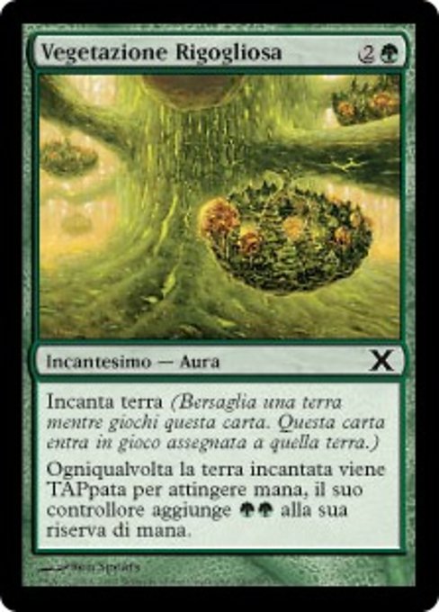 Vegetazione Rigogliosa