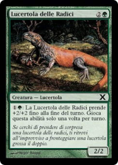 Lucertola delle Radici