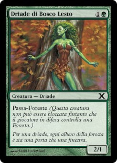 Driade di Bosco Lesto