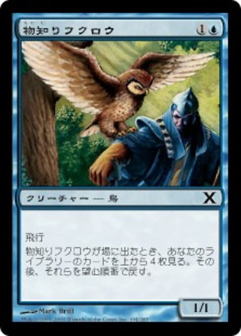 Sage Owl