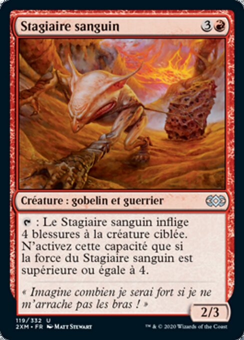 Stagiaire sanguin