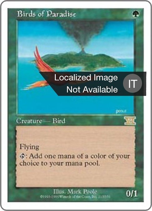 Uccelli del Paradiso