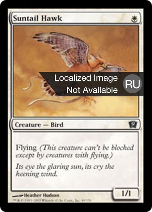 Suntail Hawk