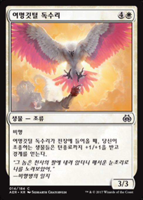 Dawnfeather Eagle