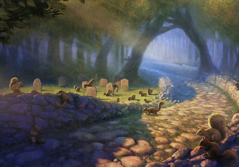 Squirrel Sanctuary // Squirrel Sanctuary