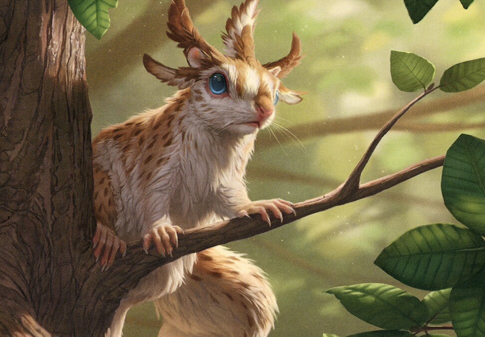 Squirrel Sovereign // Squirrel Sovereign