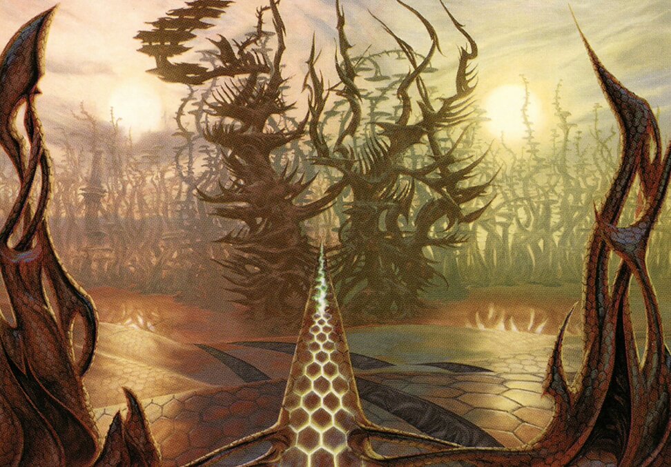 Thornglint Bridge // Thornglint Bridge