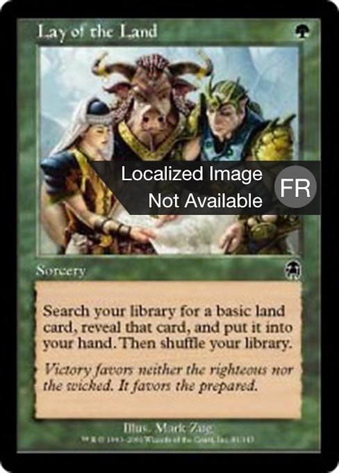 Disposition du terrain