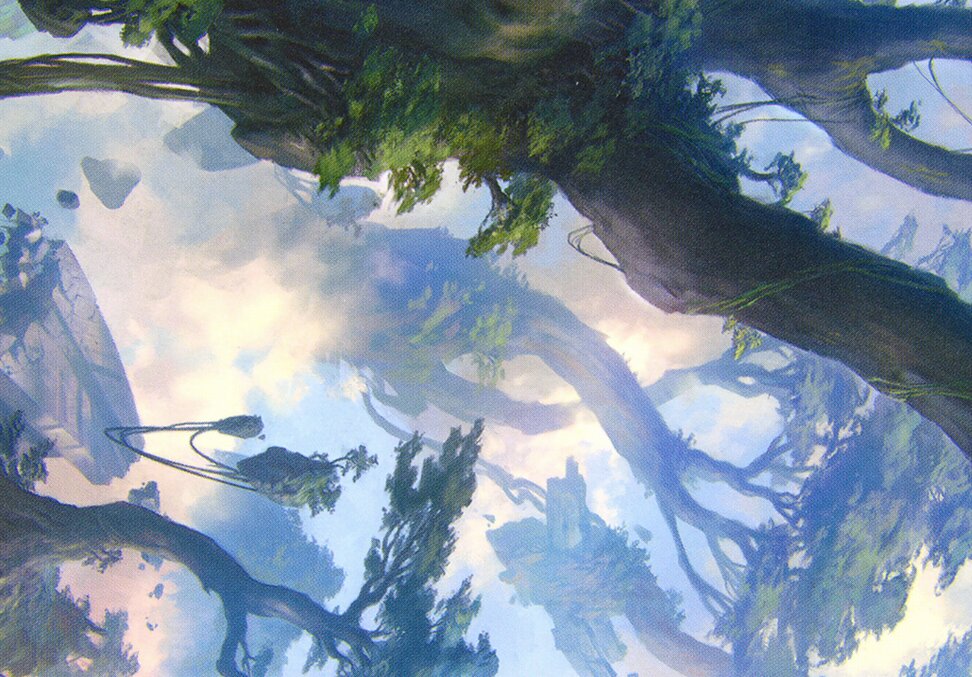 Forest // Forest