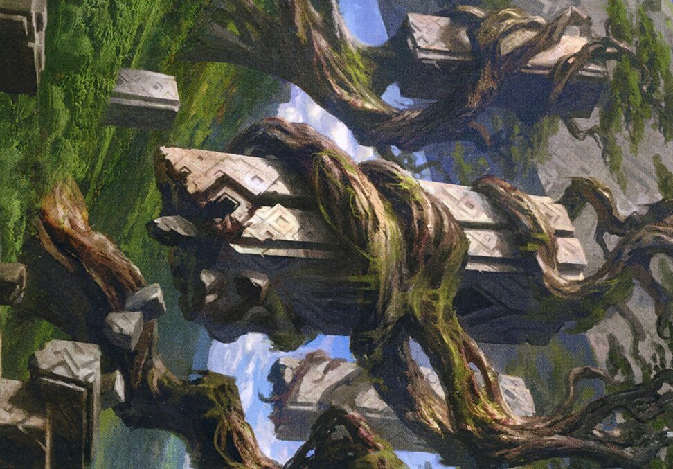 Forest // Forest