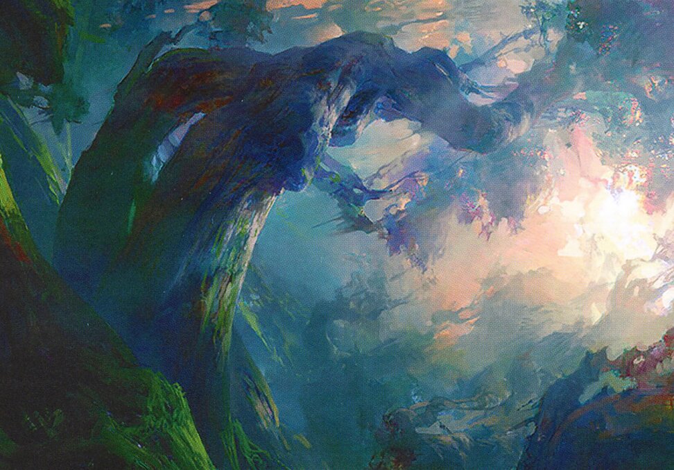 Forest // Forest