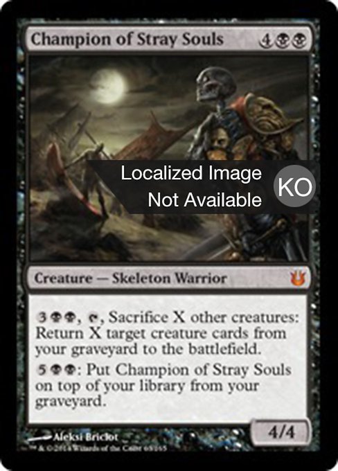 Champion of Stray Souls