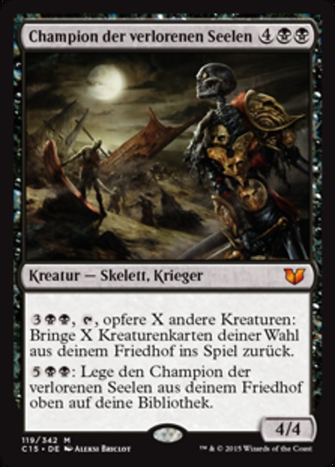 Champion of Stray Souls