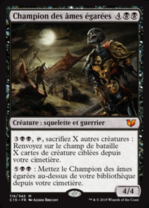 Champion of Stray Souls