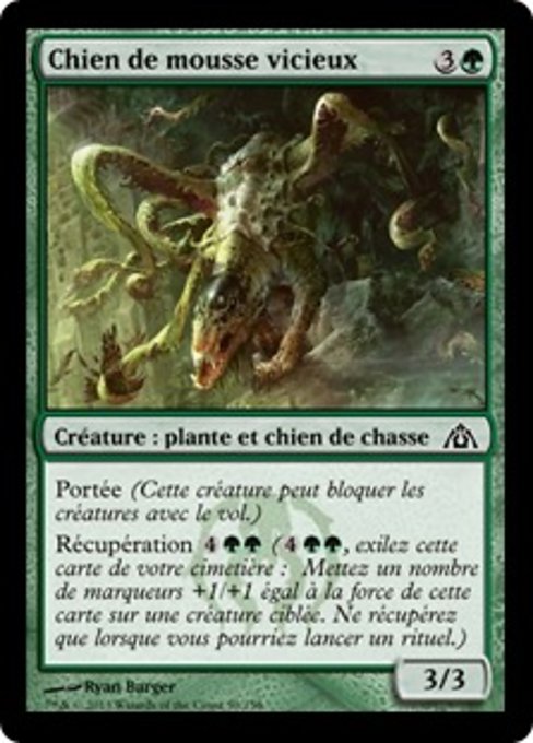 Chien de mousse vicieux