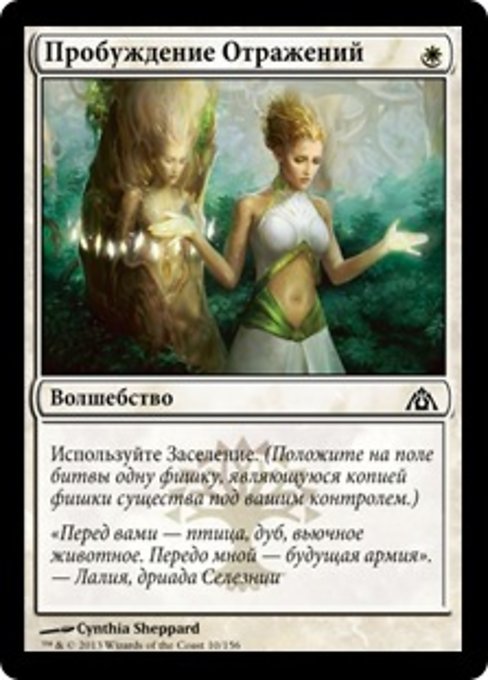 Wake the Reflections