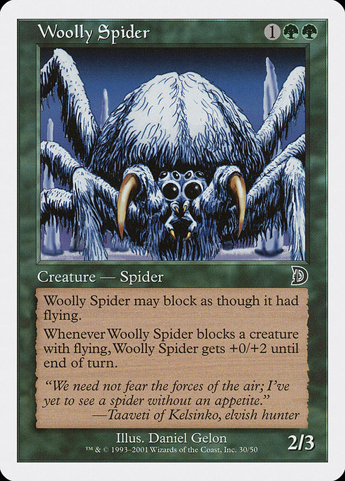 Woolly Spider