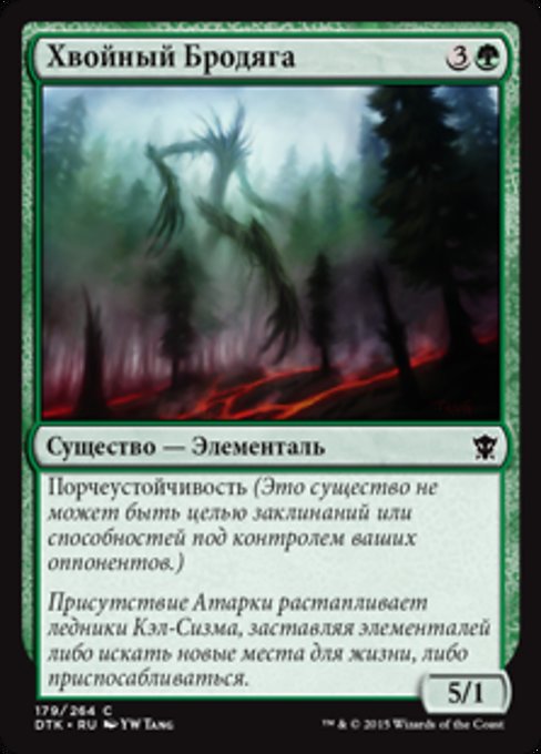 Хвойный Бродяга