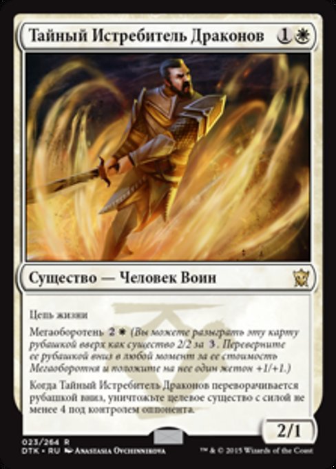 Тайный Истребитель Драконов