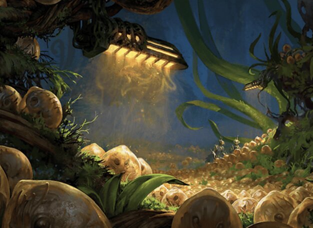 Eumidianische Brutstätte