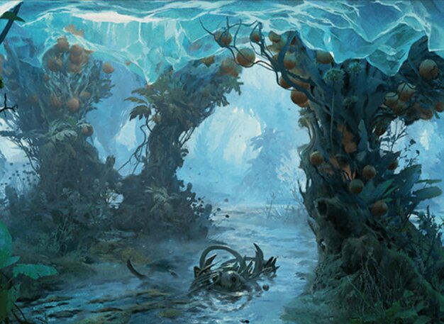 ただれた茂（しげ）み