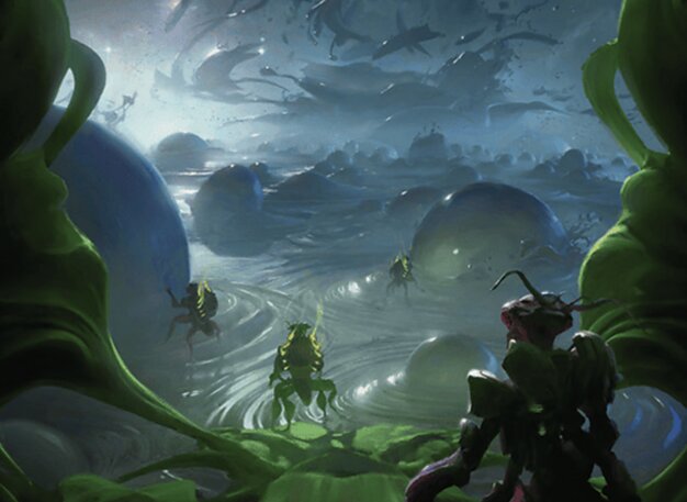 繁（はん）殖（しょく）池（いけ）