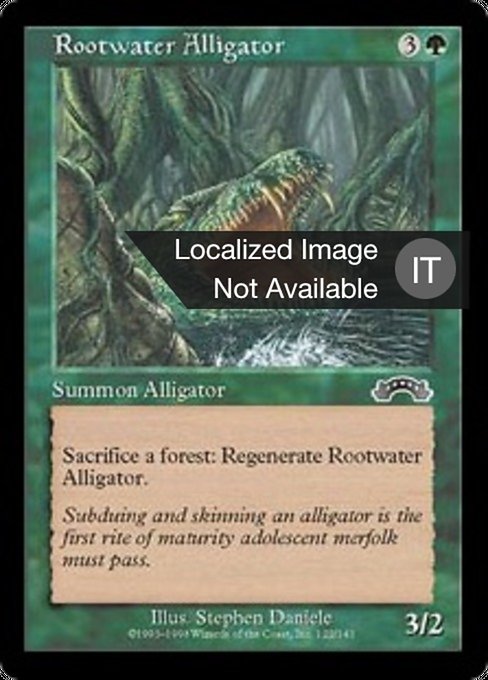 Alligatore di Morteacque