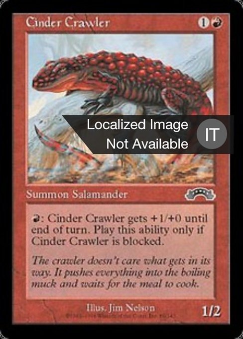 Salamandra della Cenere