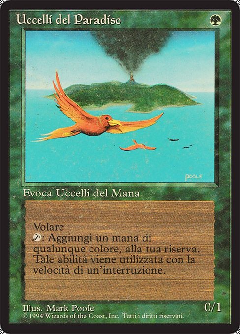Uccelli del Paradiso