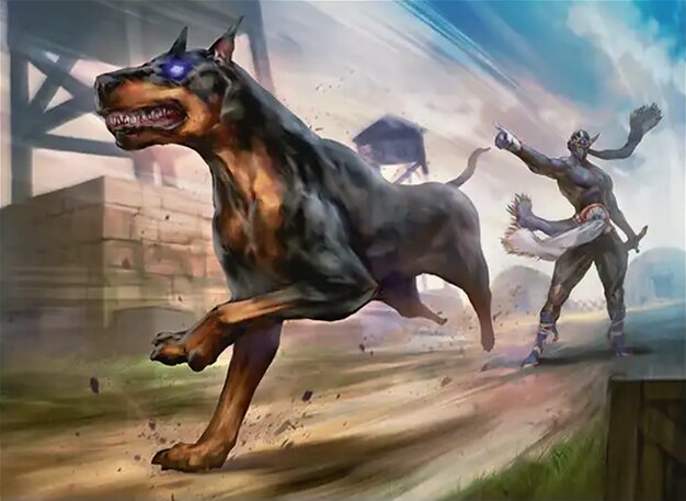 Interceptor, Shadow's Hound