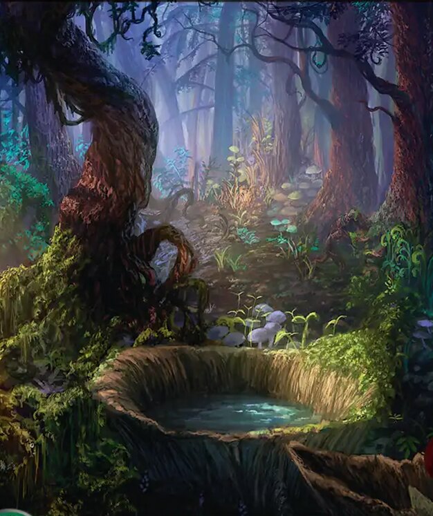 Forest