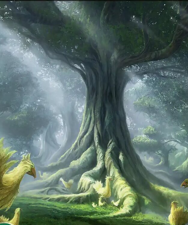 Forest