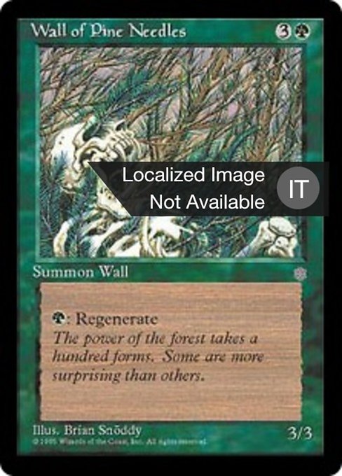 Muro di Aghi di Pino