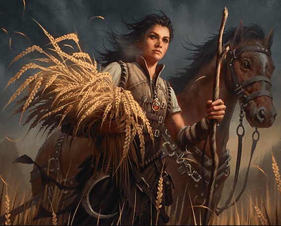 Ambitious Farmhand // Seasoned Cathar