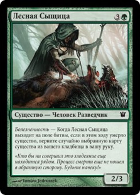 Лесная Сыщица