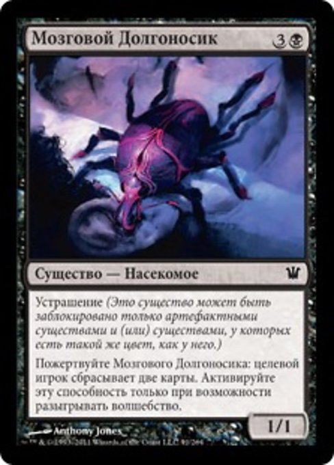 Мозговой Долгоносик