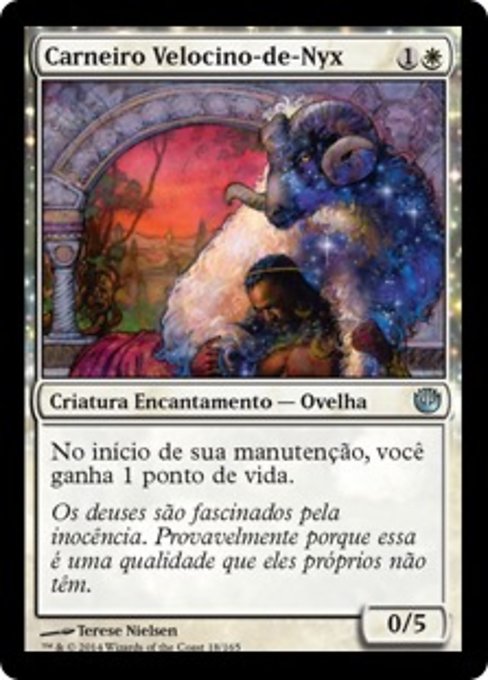 Carneiro Velocino-de-Nyx