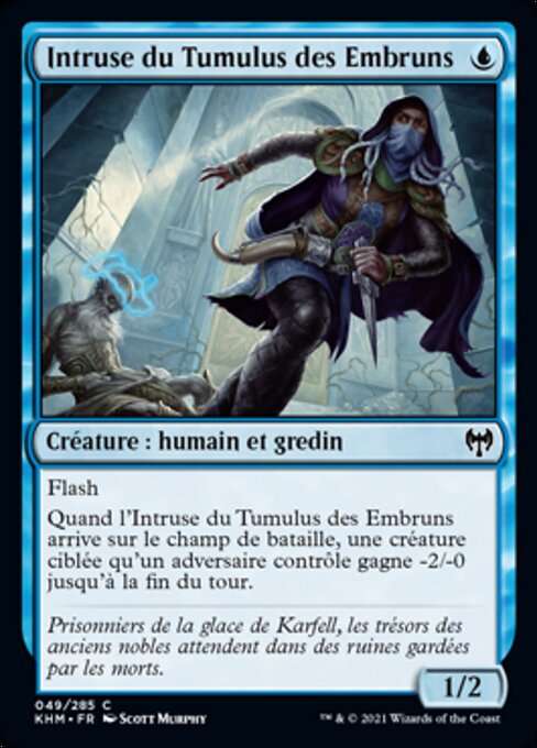 Brinebarrow Intruder