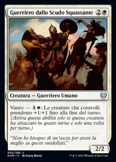 Battershield Warrior