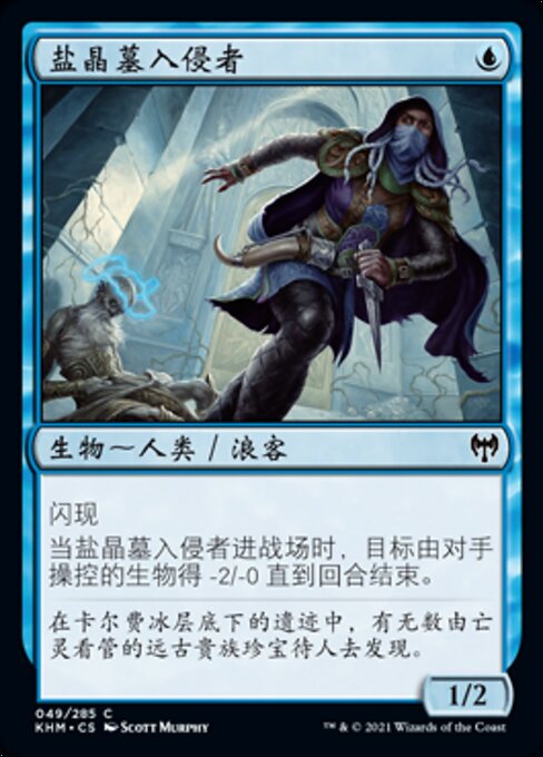 盐晶墓入侵者