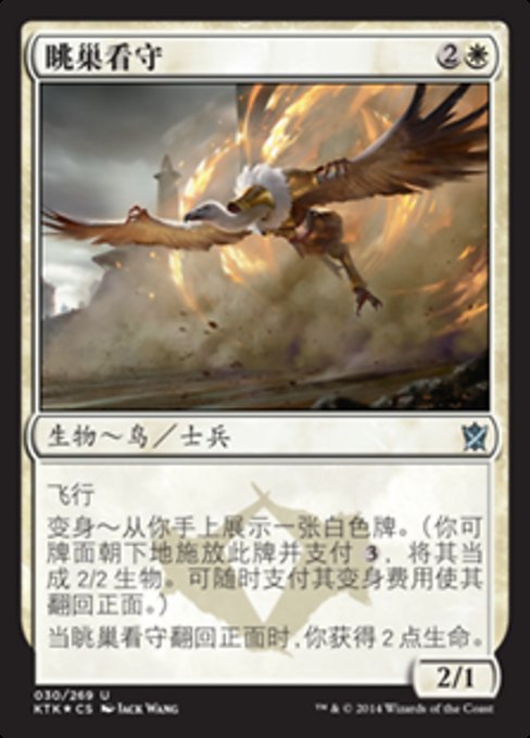 Watcher of the Roost