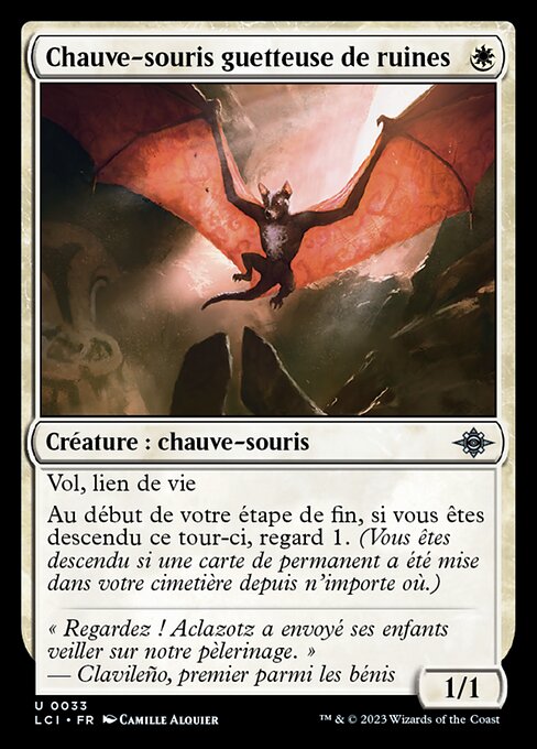 Chauve-souris guetteuse de ruines