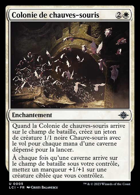 Colonie de chauves-souris