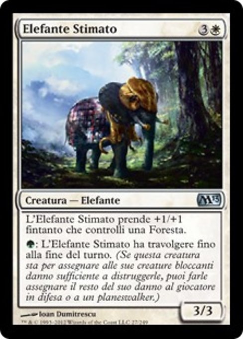 Elefante Stimato