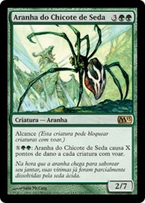 Aranha do Chicote de Seda