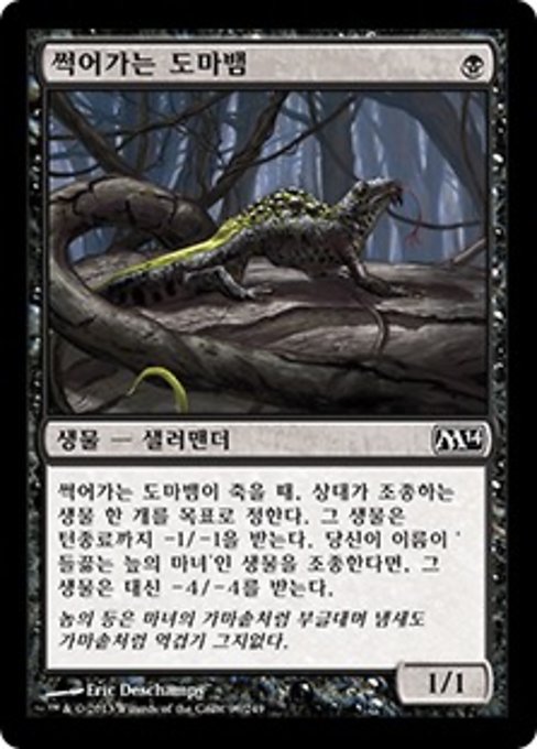 썩어가는 도마뱀