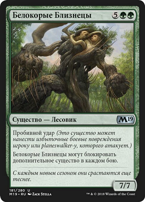 Белокорые Близнецы