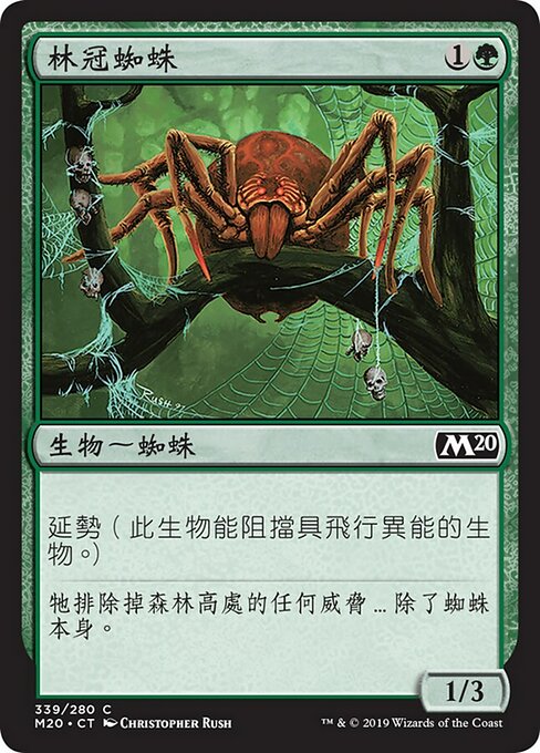 Canopy Spider