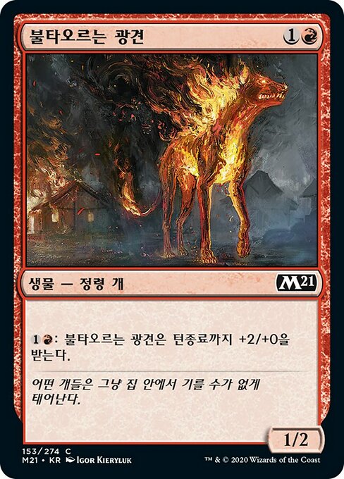 불타오르는 광견