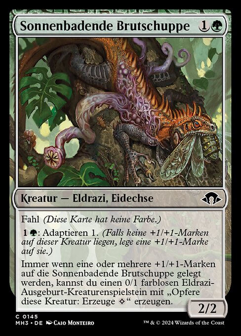 Sonnenbadende Brutschuppe